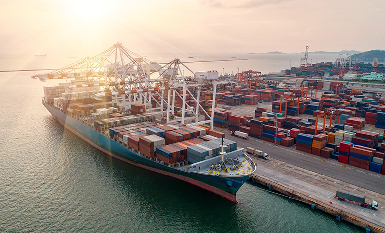 Sea Freight Logistics